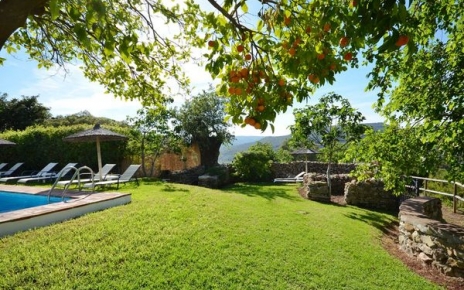 Pool orange and clementine trees